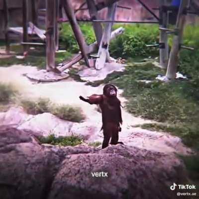 Bro is a main character