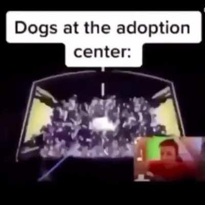 *Lit’s up stove top*