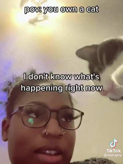 “Shhhhh, just let it happen”