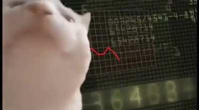 Dogecoin holders be like: