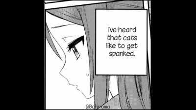catgirl misconception