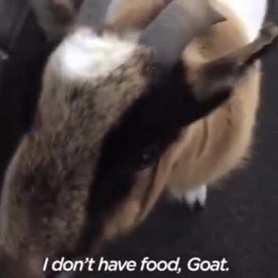 This is just pure gold