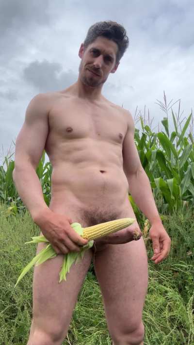 A bountiful harvest [36]