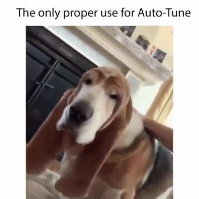 T-pain would be proud