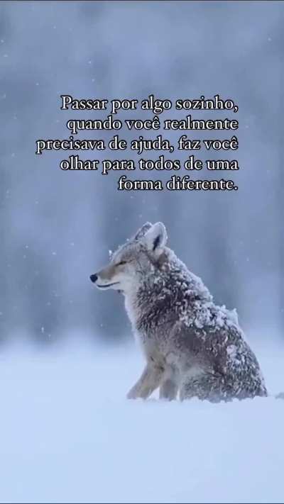 Crescendo,aprendendo e... ter várias percepções da vida.