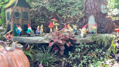 Nature Coast Garden Railroads new gnome village