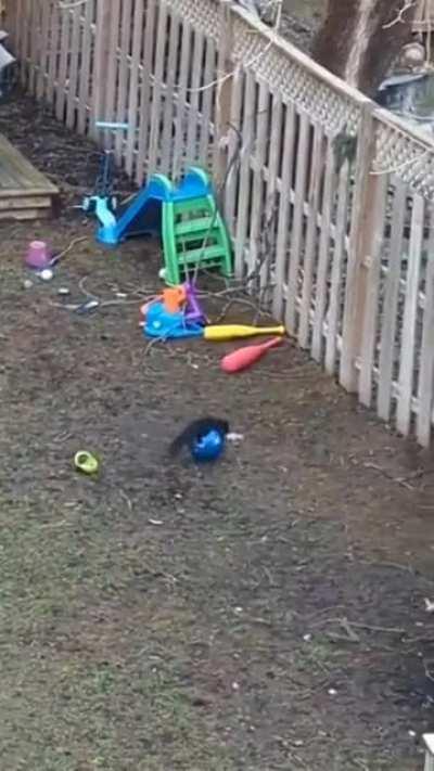 Best day ever! - the squirrel