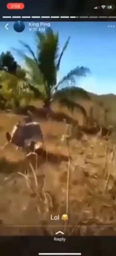 You reap what you sow