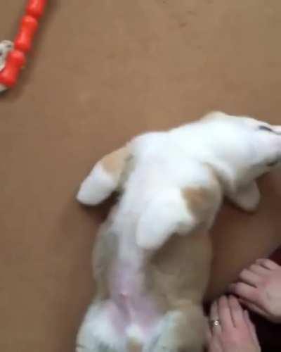 sttooop.....sstooooopp.....more!