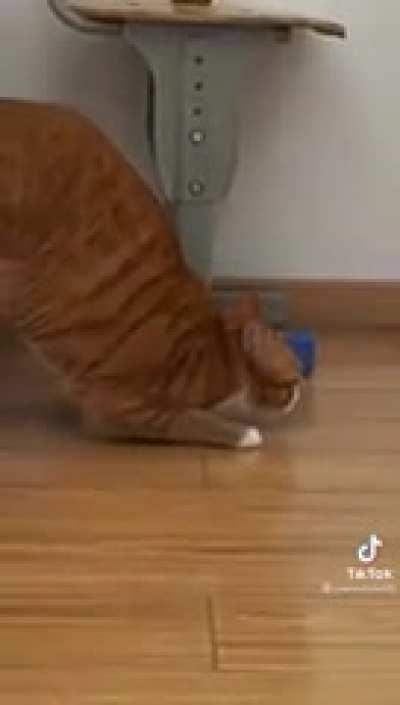 Here, There and Gone..