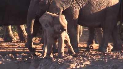 Fellas, you know what I'm talking about<GIF>