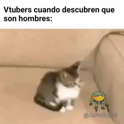 Todas las vtubers son hombres hasta que se demuestre lo contrario