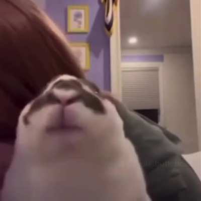 Don’t let Corey see this