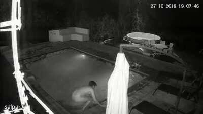 Gator goes for late nite snack in swimming pool