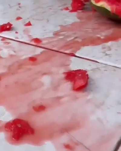 They love watermelon 😍😍