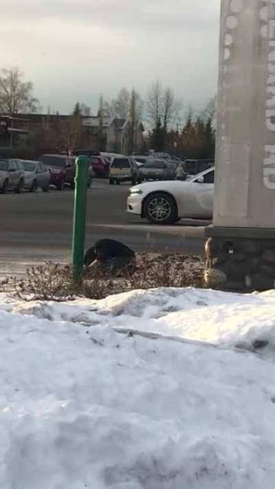 HE’S A MANIAC, MANIAC……..