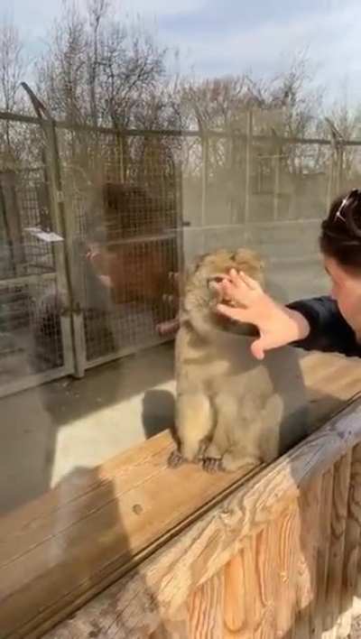 Why do I feel like this was sarcastic!