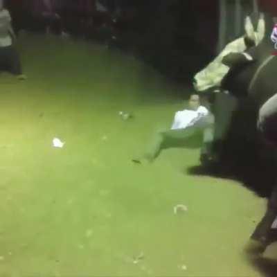 When the bulls return.