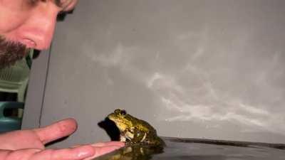 Froggy and I having a little chat! He’s a Cape River frog and just too cute not to share. ❤️🐸❤️