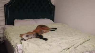 How can you lie down more comfortably?