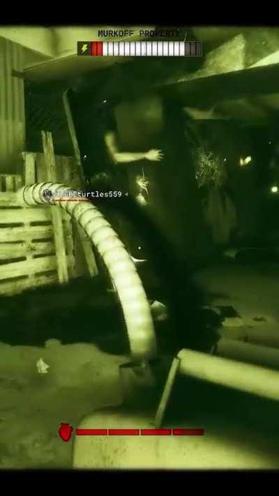 What a day to be Caucasian