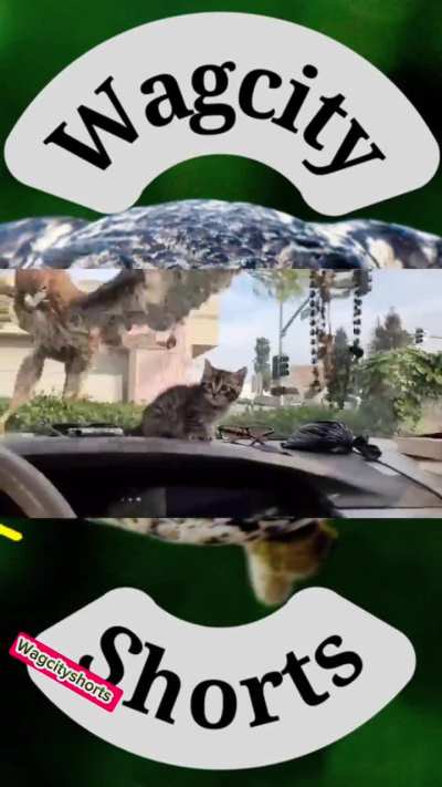 Just give me my money 4