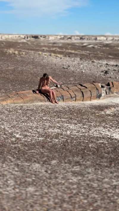 Found a seat in the desert