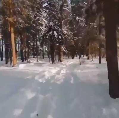 Drone to the rescue.