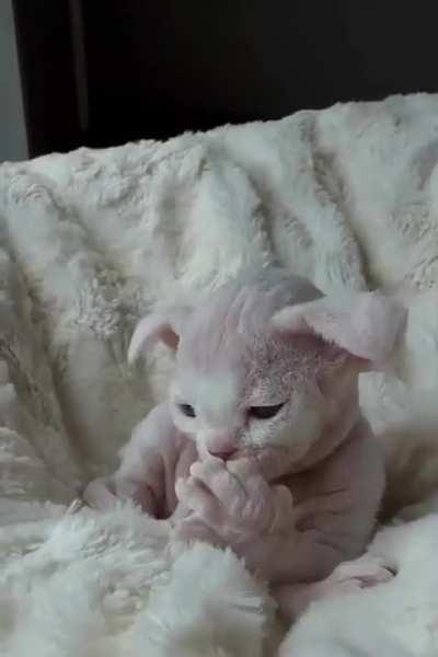 My little growing baby