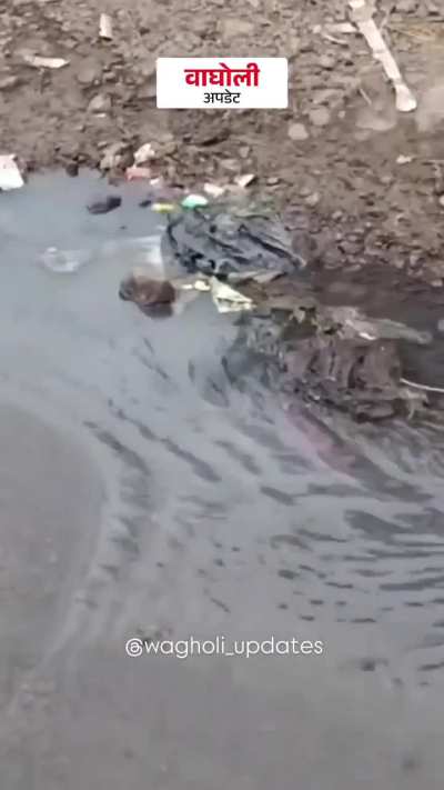 Wagholi with New River