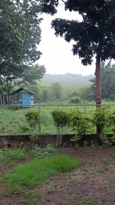 Rain over the mangroves in Palawan