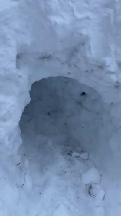 I also built a snow tunnel