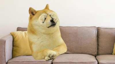 le therapiss has arrived