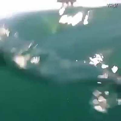 Idk why this scared me so much