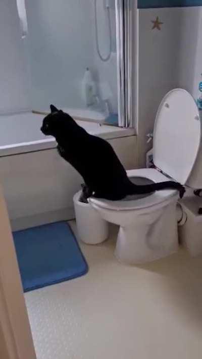 Not my cat having a making full use of the facilities offered