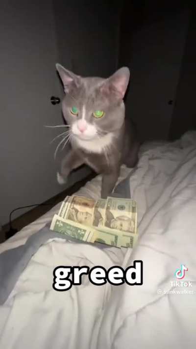 Wunk is not seeing the pearly gates 🙏🙏😭