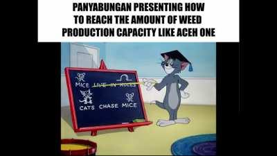 (Not) every cities on North Sumatera