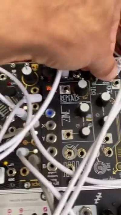 A mushroom making music