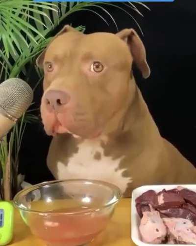 Eating while tripping be like