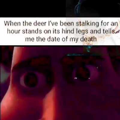 And that's why I don't hunt