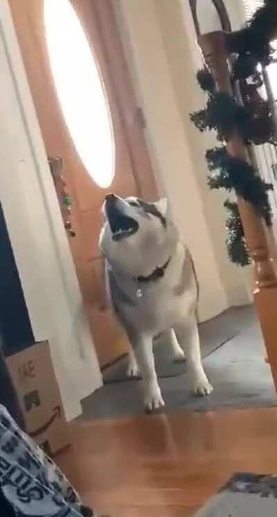 whorewick screaming for help as lee sinusInfection invades his jgl