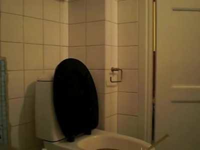 Unclogging the toilet