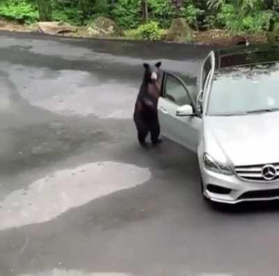 Holup, this isn’t my car!