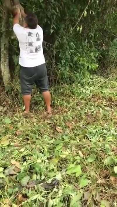 Sloth smiles and waves at the man who helped him.