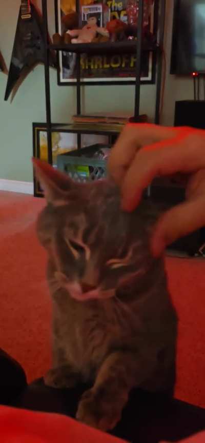 fiiiiiiiiiine, i guess i'll pet you