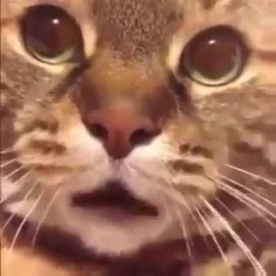 When you forgot to keep it cute