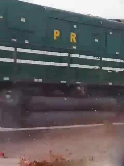 A donkey gets git by a train