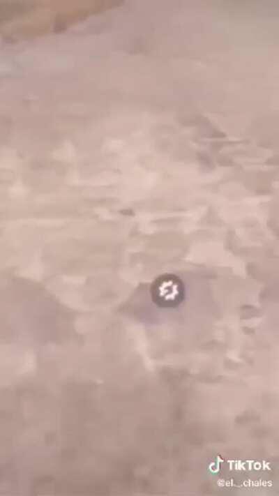 Está bueno el terreneitor