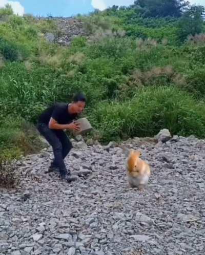 What I see after taking my 32nd Benadryl