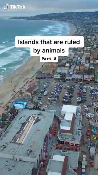 Animal kang hayop ka!!